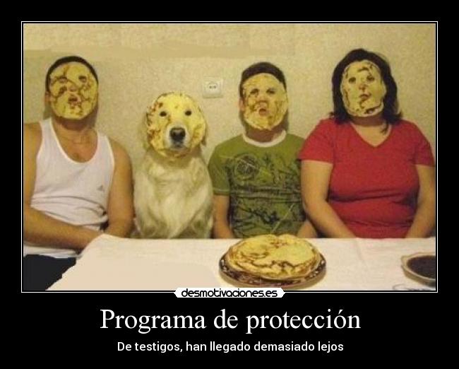 Programa de protección - De testigos, han llegado demasiado lejos