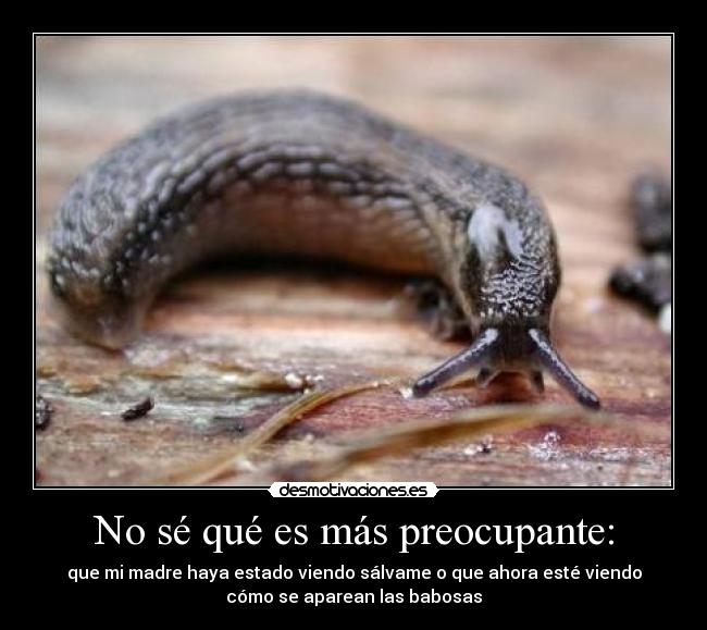 No sé qué es más preocupante Desmotivaciones No sé qué es más preocupante Desmotivaciones