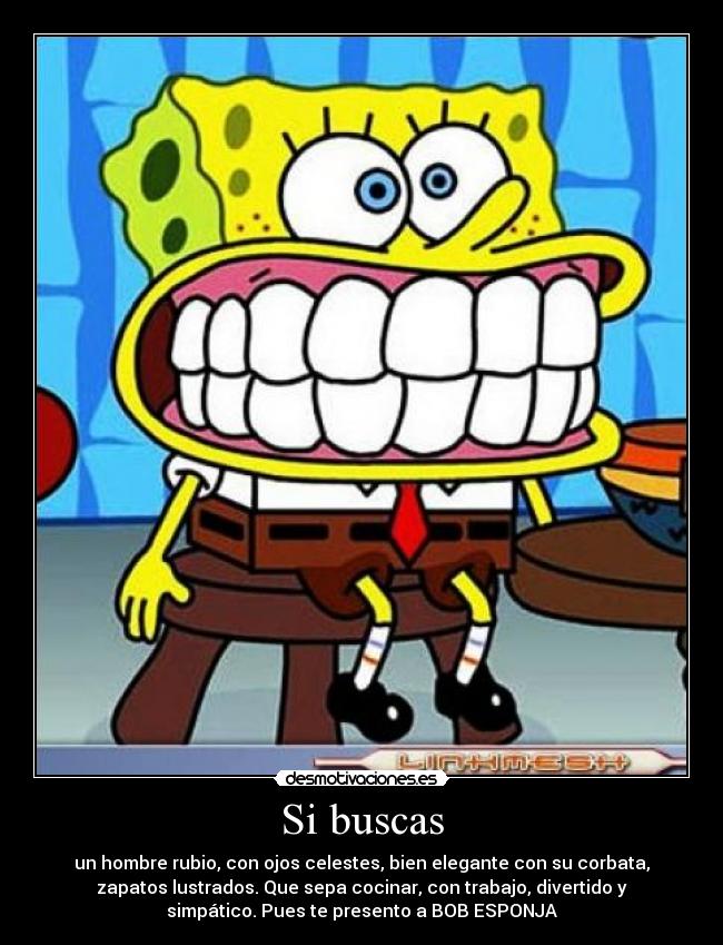 Si buscas - un hombre rubio, con ojos celestes, bien elegante con su corbata,
zapatos lustrados. Que sepa cocinar, con trabajo, divertido y
simpático. Pues te presento a BOB ESPONJA