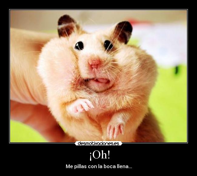 ¡Oh! - Me pillas con la boca llena...