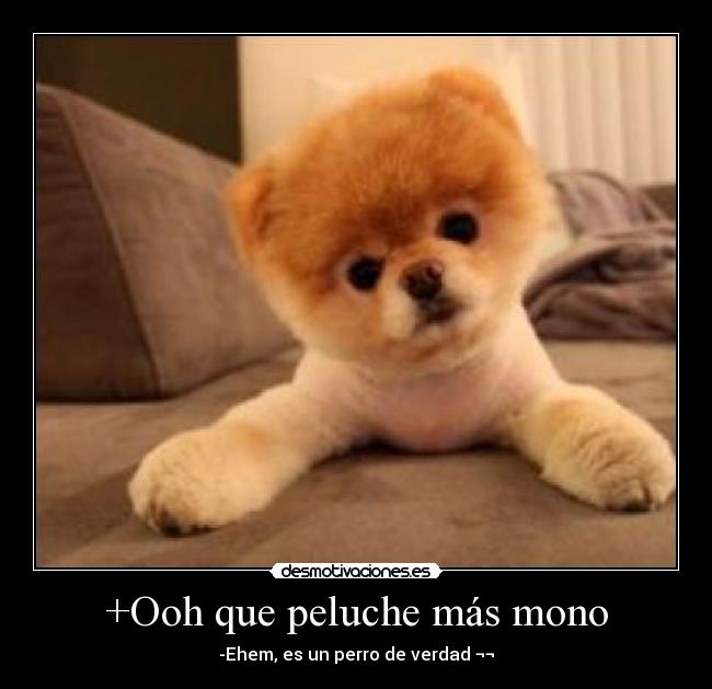 +Ooh que peluche más mono - 