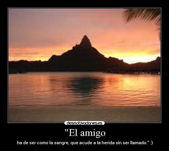 El amigo - ha de ser como la sangre, que acude a la herida sin ser llamado. :)
