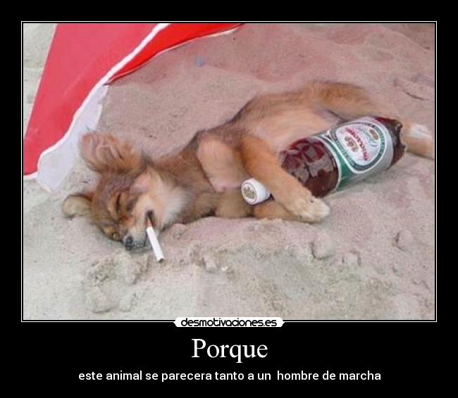 Porque - este animal se parecera tanto a un hombre de marcha