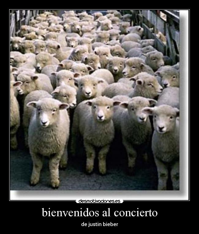 bienvenidos al concierto - 