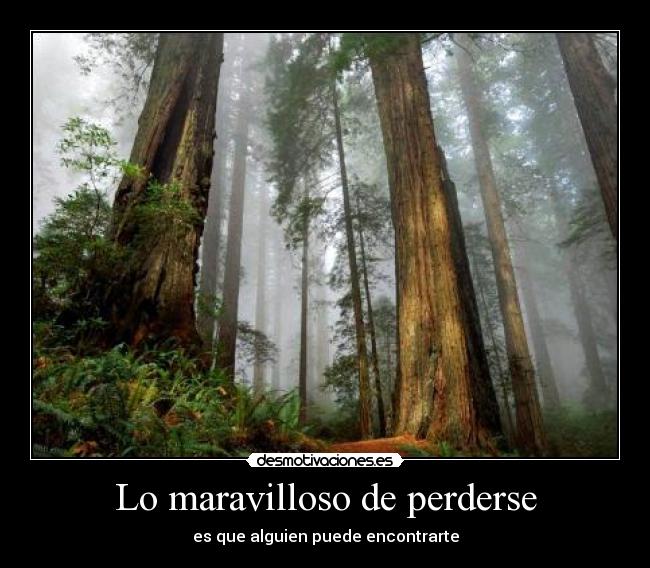 Lo maravilloso de perderse -