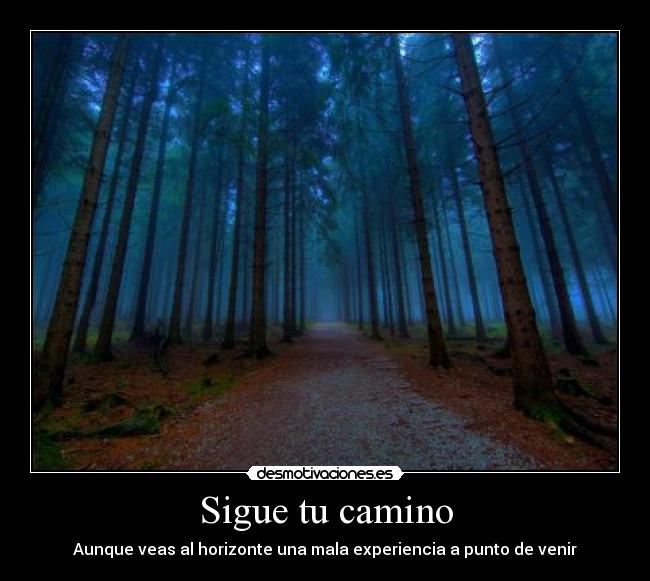 Sigue tu camino -
