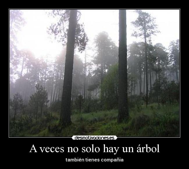 A veces no solo hay un árbol -