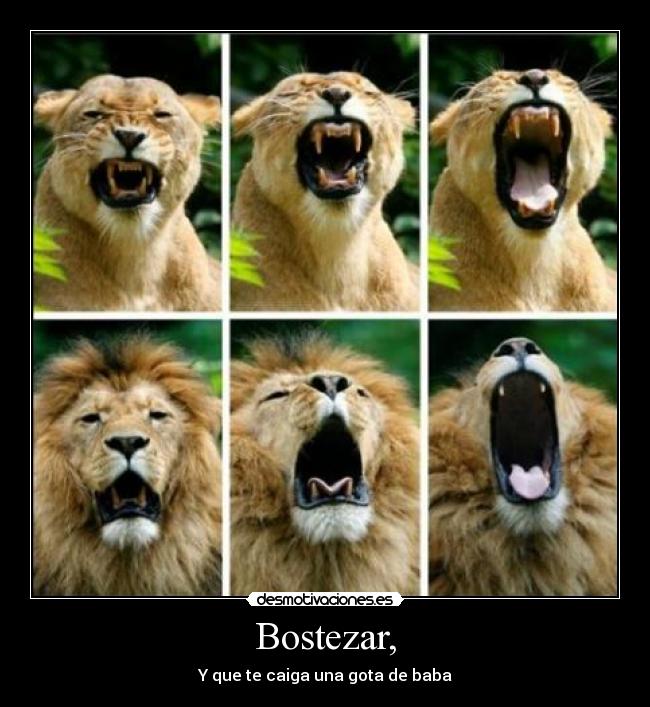Bostezar, -