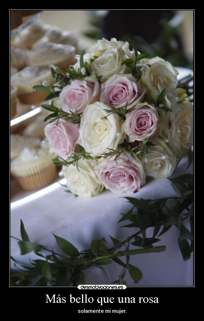 carteles dayana desmotivaciones