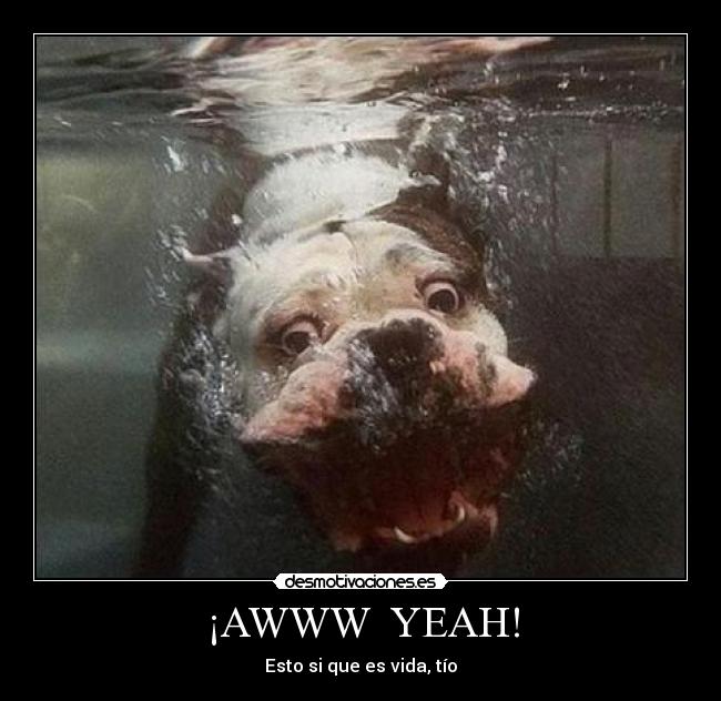 ¡AWWW  YEAH! - Esto si que es vida, tío