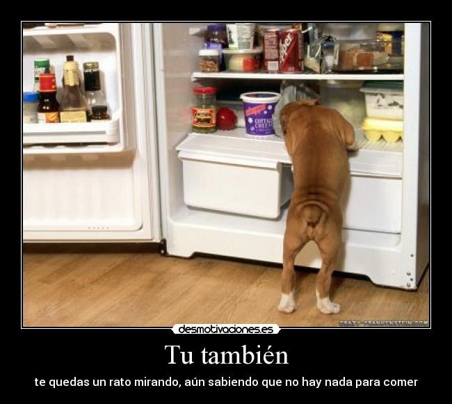 Tu también - te quedas un rato mirando, aún sabiendo que no hay nada para comer
