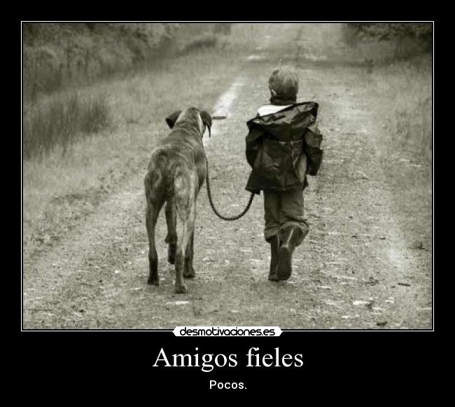 Amigos fieles -