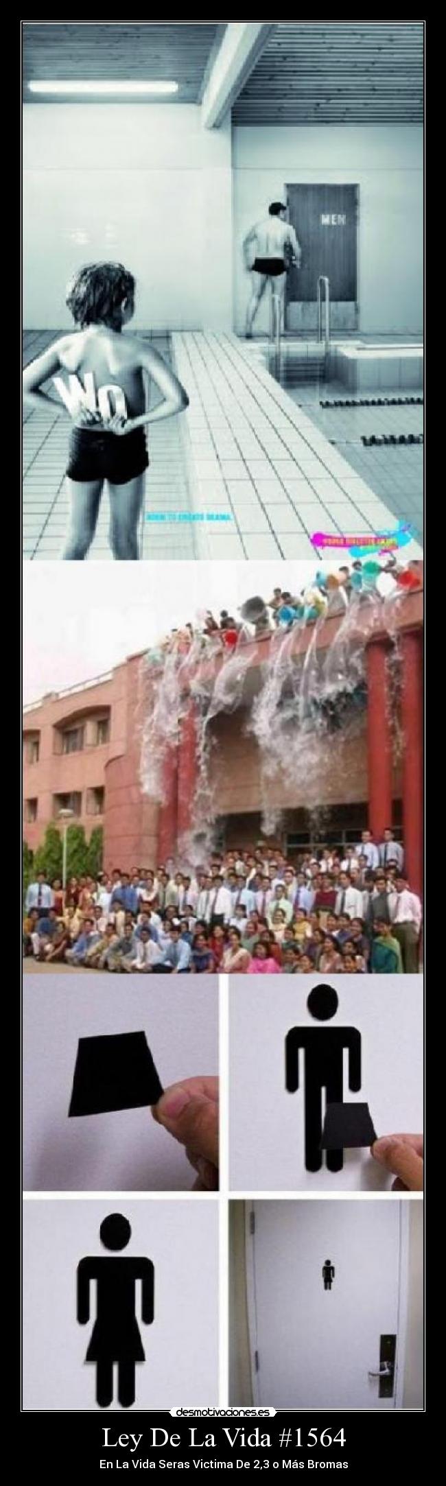 Ley De La Vida #1564 -