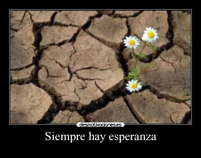 Siempre hay esperanza - 