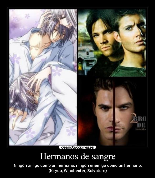 Hermanos de sangre - Ningún amigo como un hermano; ningún enemigo como un hermano.
(Kiryuu, Winchester, Salvatore)