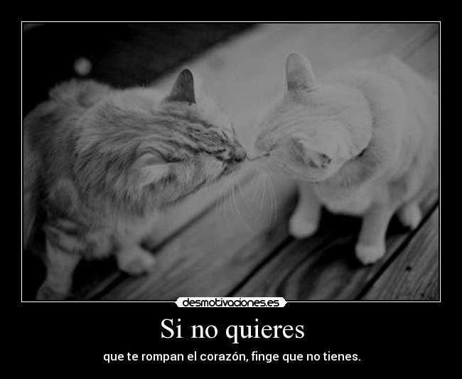 Si no quieres - 