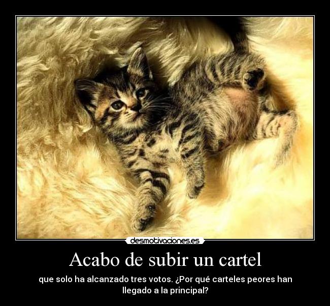 Acabo de subir un cartel -