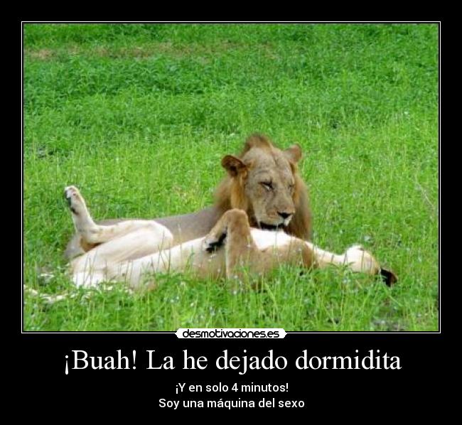 ¡Buah! La he dejado dormidita -