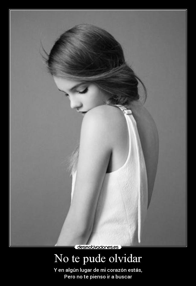 No te pude olvidar -