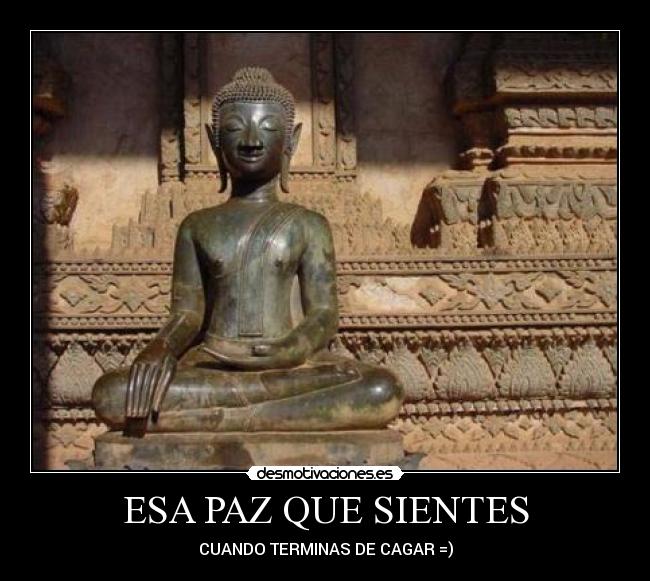 ESA PAZ QUE SIENTES - CUANDO TERMINAS DE CAGAR =)