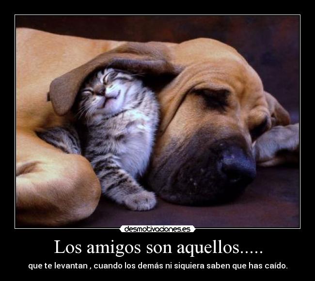 Los amigos son aquellos..... - que te levantan , cuando los demás ni siquiera saben que has caído.