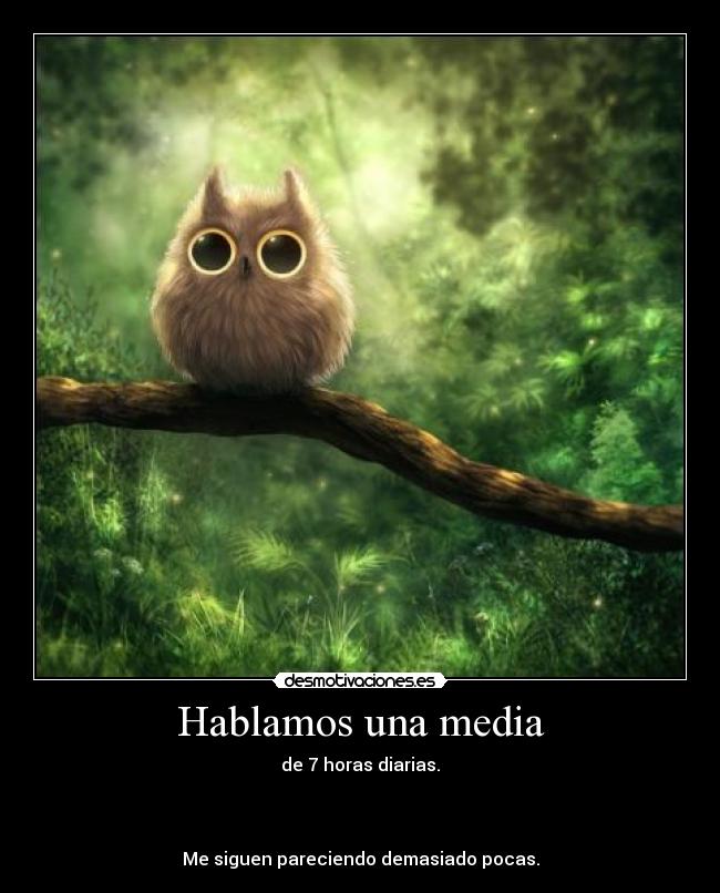 Hablamos una media -