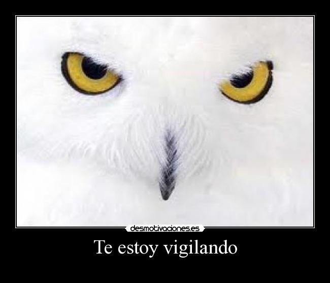 Te estoy vigilando - 