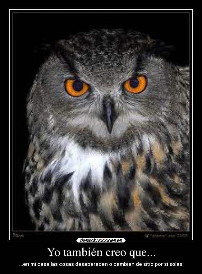 Yo también creo que... - ...en mi casa las cosas desaparecen o cambian de sitio por si solas.