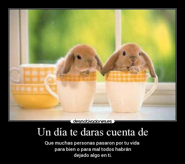 Un día te daras cuenta de -