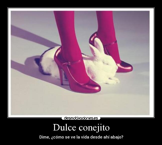 Dulce conejito -