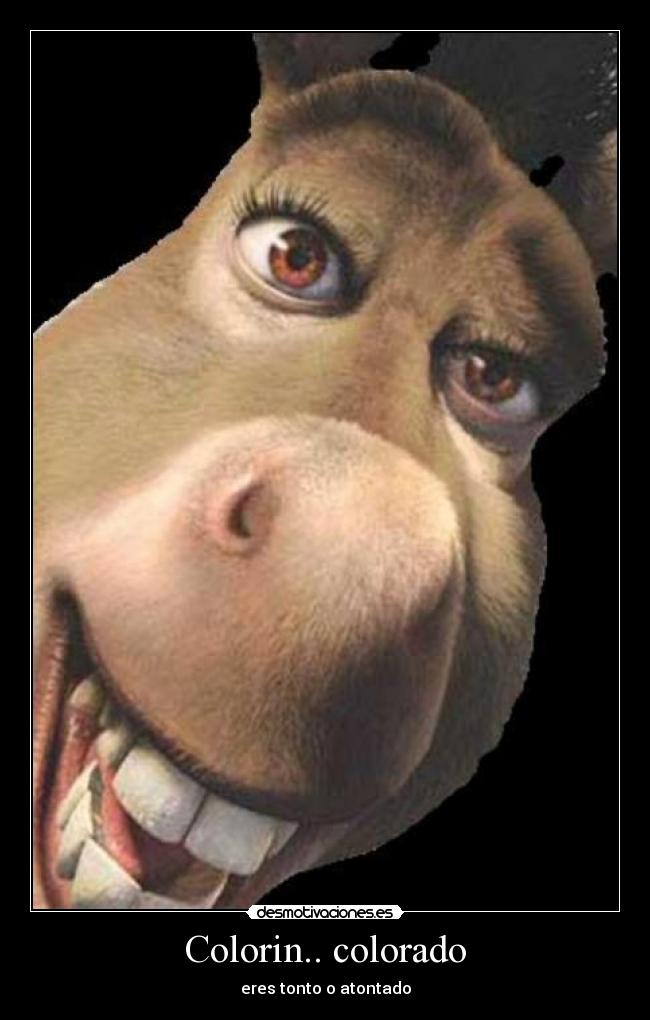 Colorin.. colorado - eres tonto o atontado