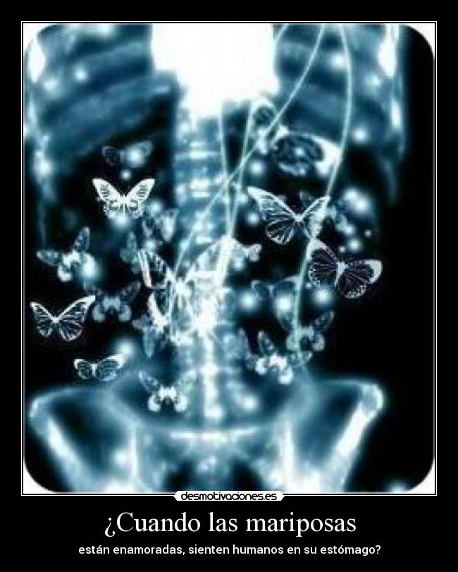 carteles humanos desmotivaciones