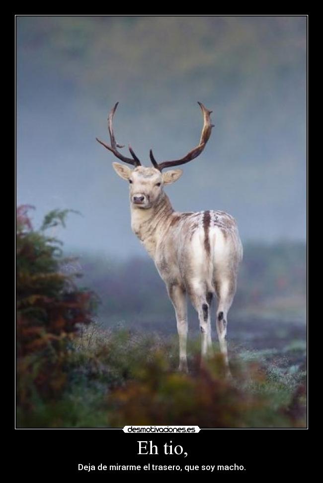 Eh tio, -