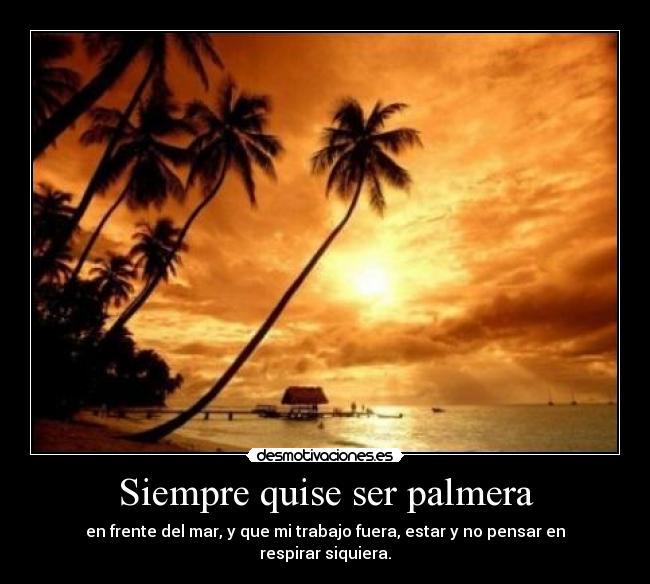 Siempre quise ser palmera -