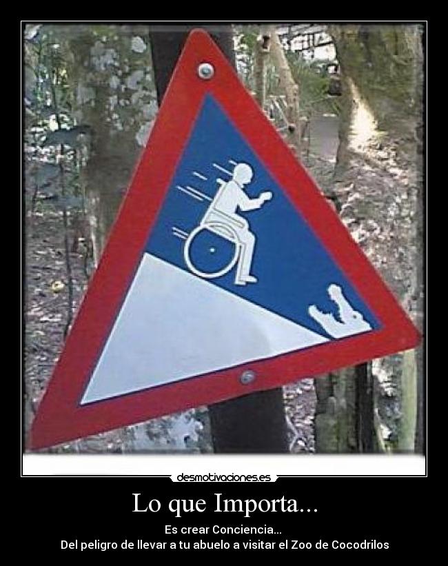 carteles abuelo conciencia wtf cocodrilos precaucion desmotivaciones