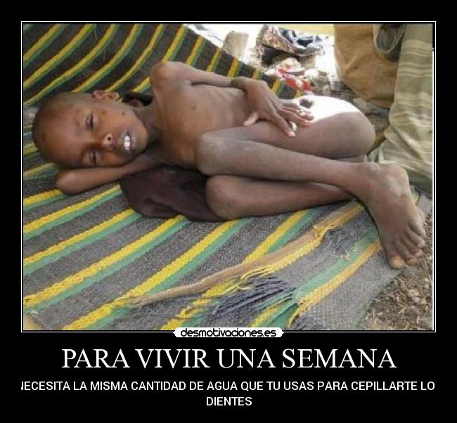 PARA VIVIR UNA SEMANA - NECESITA LA MISMA CANTIDAD DE AGUA QUE TU USAS PARA CEPILLARTE LOS
DIENTES