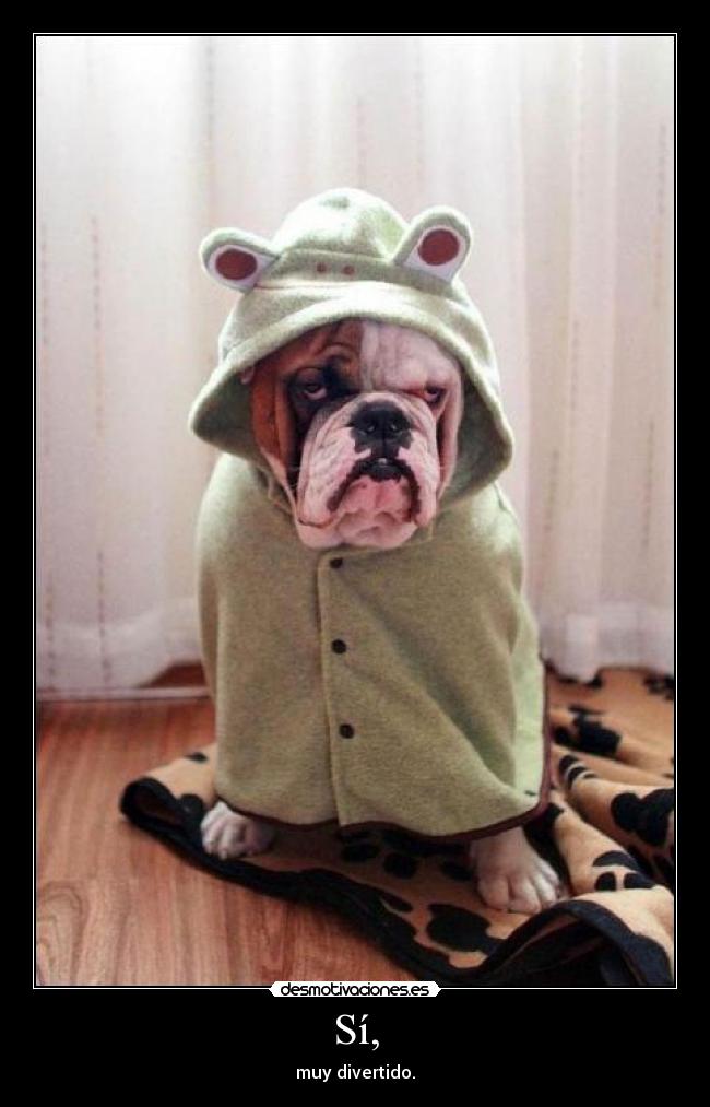 Sí, - muy divertido.