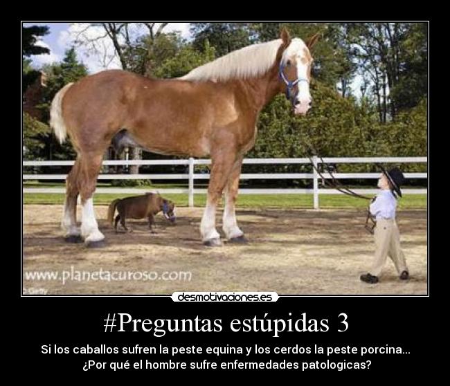 carteles preguntas estupidas desmotivaciones