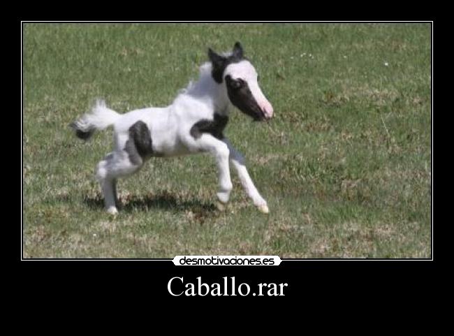 Caballo.rar - 