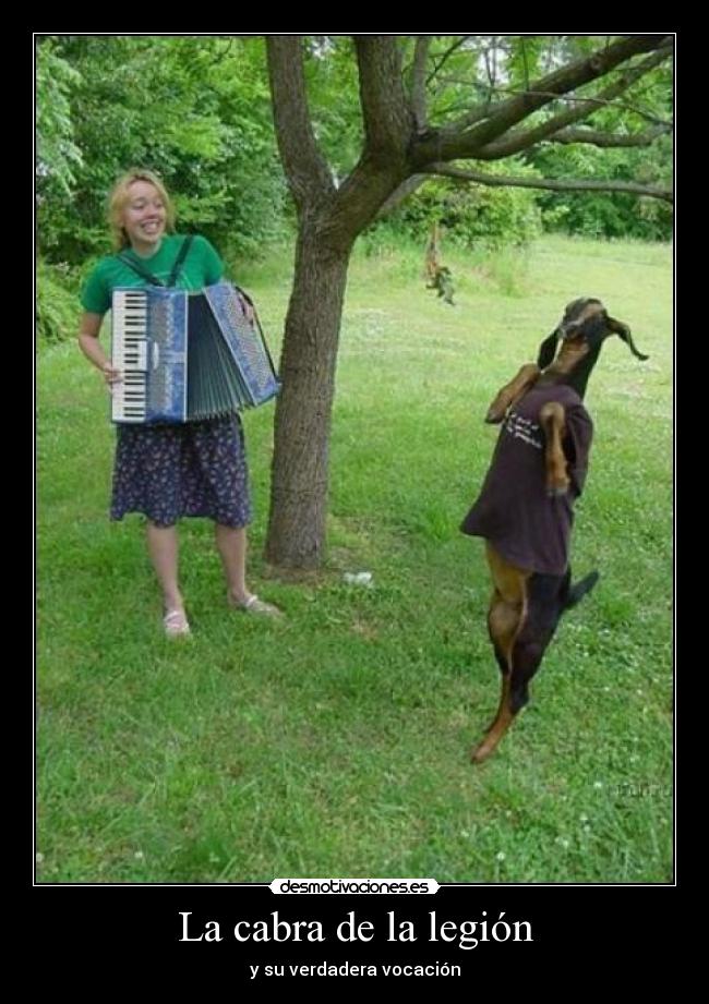 La cabra de la legión - y su verdadera vocación