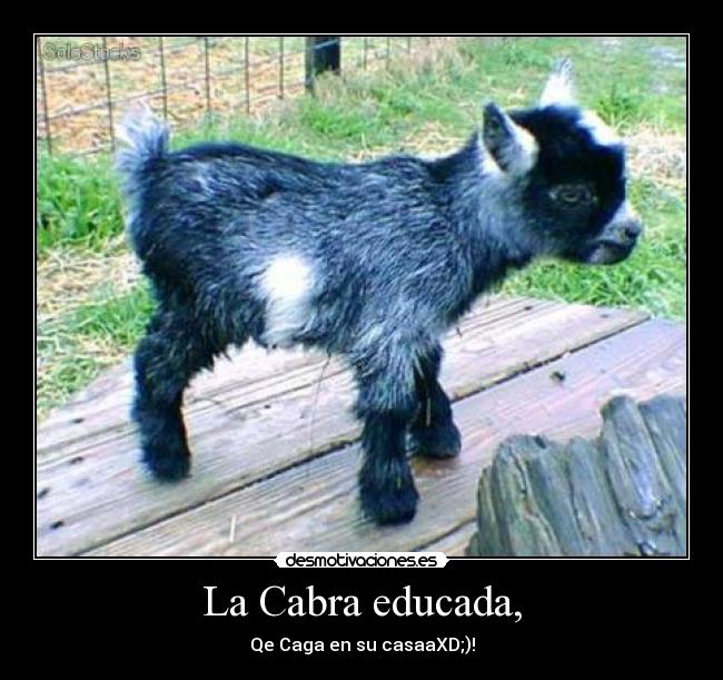 La Cabra educada, - Qe Caga en su casaaXD;)!