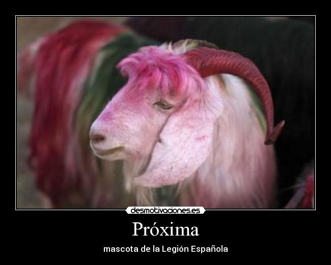 Próxima - mascota de la Legión Española