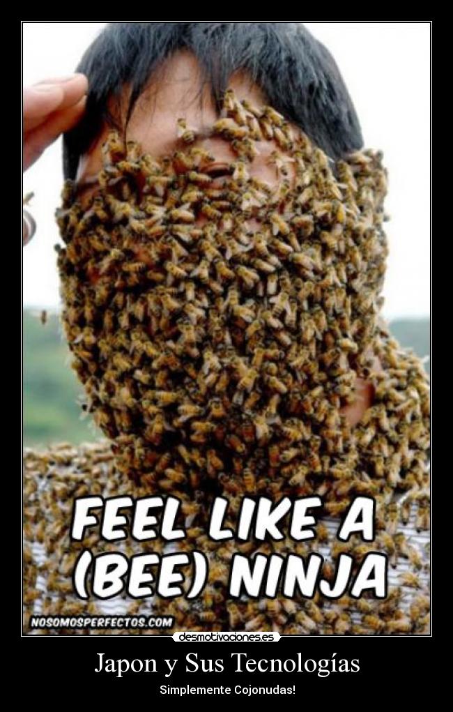 Japon y Sus Tecnologías - 