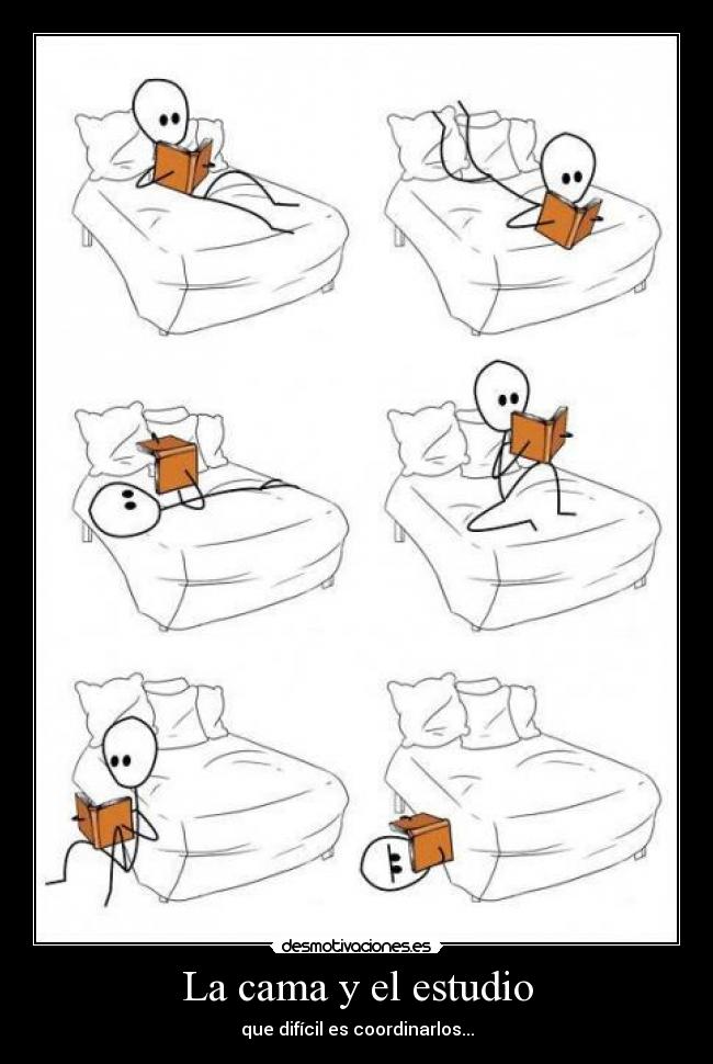 La cama y el estudio - que difícil es coordinarlos...