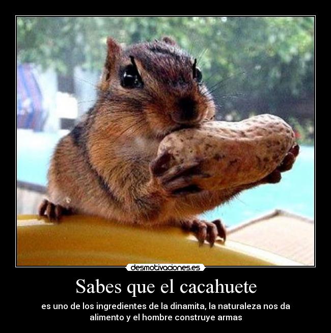 Sabes que el cacahuete - es uno de los ingredientes de la dinamita, la naturaleza nos da
alimento y el hombre construye armas