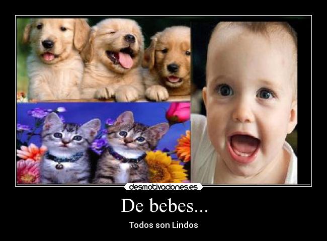 De bebes... - Todos son Lindos