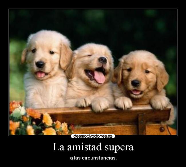 La amistad supera - 