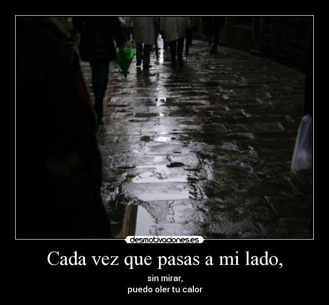 Cada vez que pasas a mi lado, - sin mirar,
puedo oler tu calor