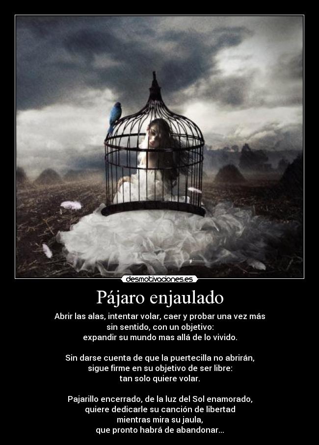 Pájaro enjaulado - Abrir las alas, intentar volar, caer y probar una vez más
sin sentido, con un objetivo:
expandir su mundo mas allá de lo vivido.
Sin darse cuenta de que la puertecilla no abrirán,
sigue firme en su objetivo de ser libre:
tan solo quiere volar.
Pajarillo encerrado, de la luz del Sol enamorado,
quiere dedicarle su canción de libertad
mientras mira su jaula,
que pronto habrá de abandonar...