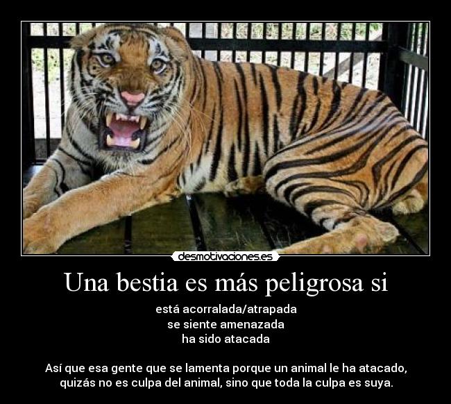 Una bestia es más peligrosa si - 